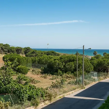 Bmyguest - Cavalo Preto * Loule