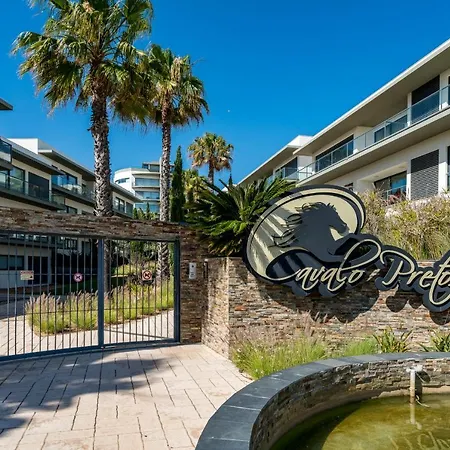 Bmyguest - Cavalo Preto